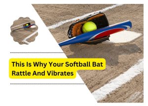 Softball Bat Rattle
